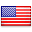 Language selection flag