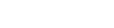 AVIS VAN logo