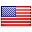Language selection flag